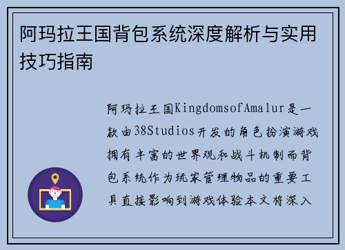 阿玛拉王国背包系统深度解析与实用技巧指南